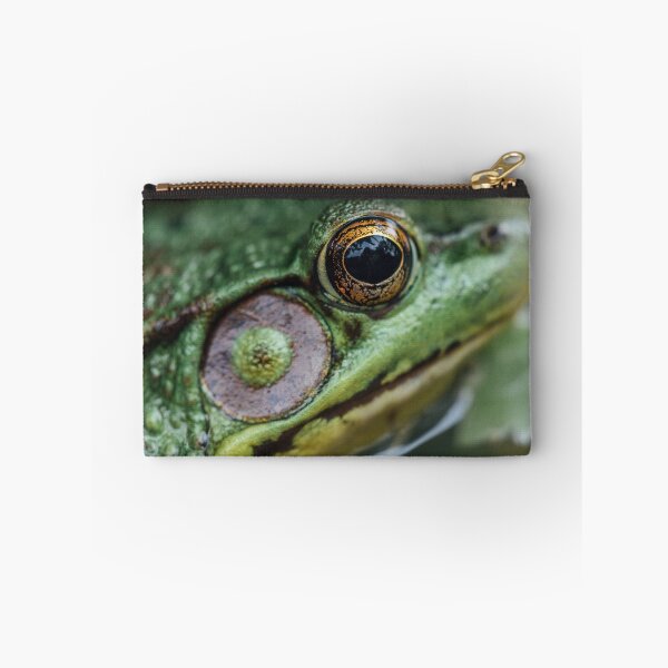 Item preview, Frog  designed and sold by katelizspra.