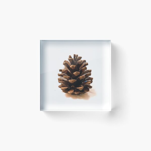 Item preview, Single Pinecone designed and sold by PSCSCo.