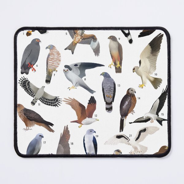 Item preview, Kites of the World designed and sold by CaraCaracal.
