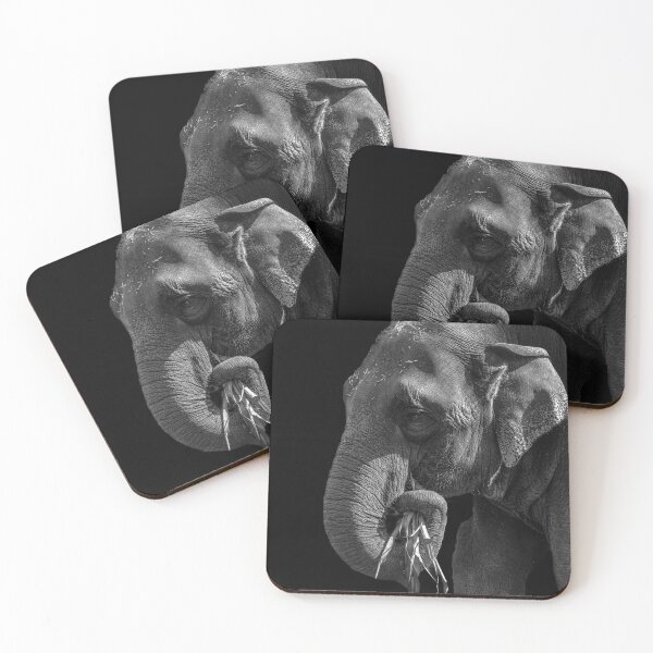Item preview, Asiatic Elephant in black and white designed and sold by iansmissenphoto.