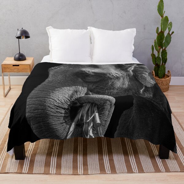 Item preview, Asiatic Elephant in black and white designed and sold by iansmissenphoto.
