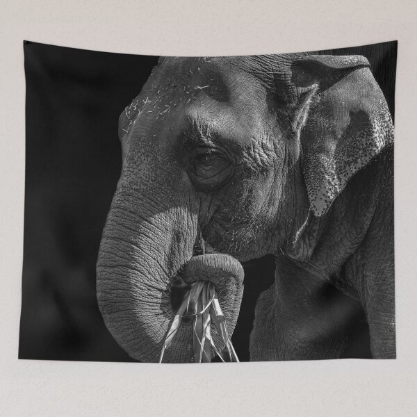 Item preview, Asiatic Elephant in black and white designed and sold by iansmissenphoto.