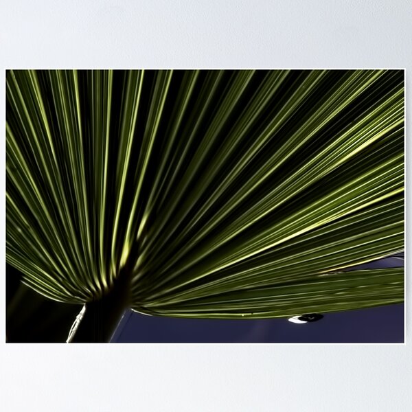 Item preview, Palm Frond with Dew designed and sold by Barbara D Richards.