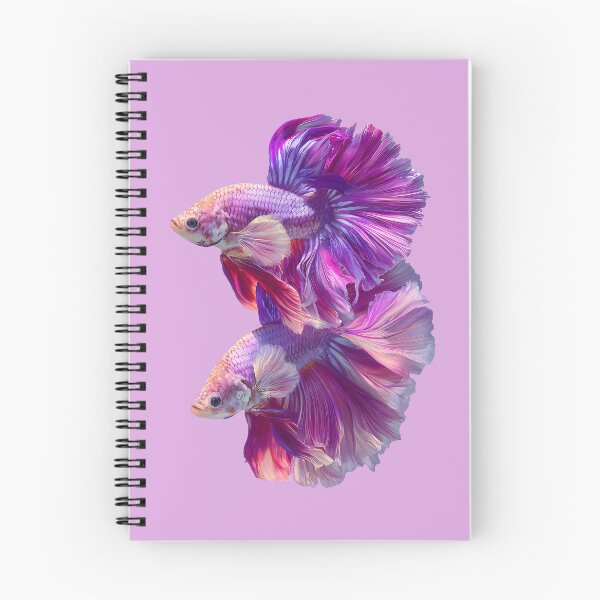Item preview, Pastel Pink Rosetail Halfmoon Betta Siamese Fighting Fish, Pink Purple Iridescent Double‑Tail Twin Bettas designed and sold by meganohm.
