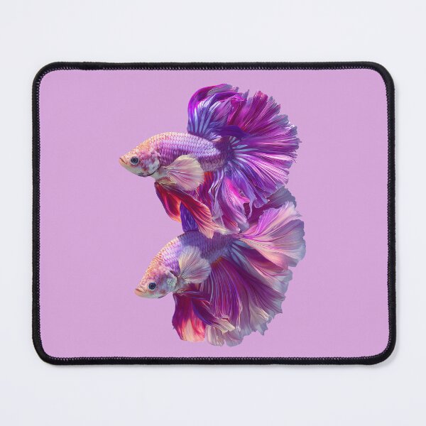 Item preview, Pastel Pink Rosetail Halfmoon Betta Siamese Fighting Fish, Pink Purple Iridescent Double‑Tail Twin Bettas designed and sold by meganohm.