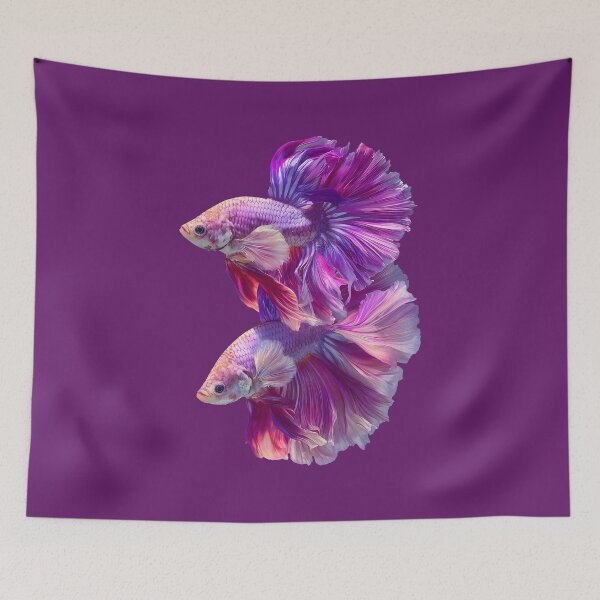 Item preview, Pastel Pink Rosetail Halfmoon Betta Siamese Fighting Fish, Pink Purple Iridescent Double‑Tail Twin Bettas designed and sold by meganohm.