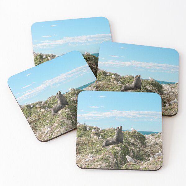 Item preview, Kaikoura Coast Guard designed and sold by zacharywerakso.