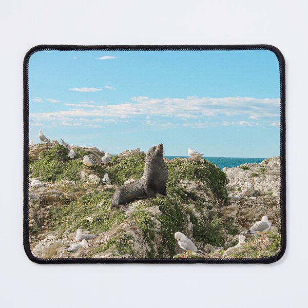Item preview, Kaikoura Coast Guard designed and sold by zacharywerakso.