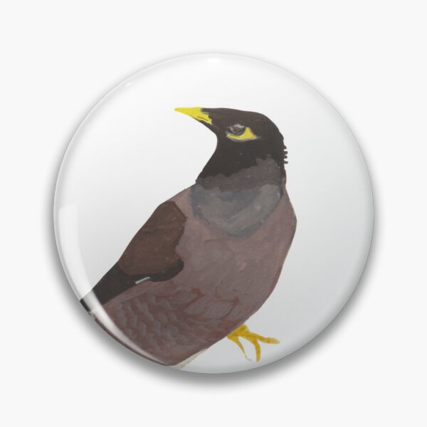 Item preview, Common Myna designed and sold by Junipertrees.