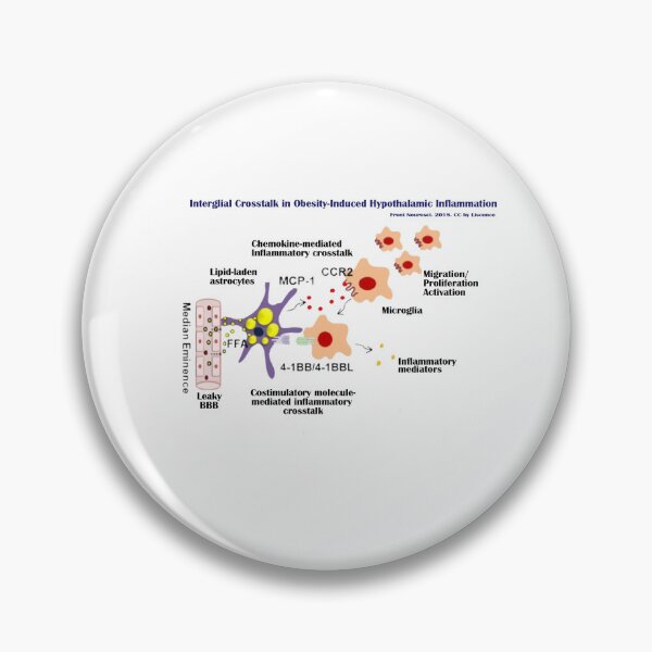 Item preview, When the Brain Meets Obesity — A Silent Inflammation designed and sold by RYUcreationsLab.