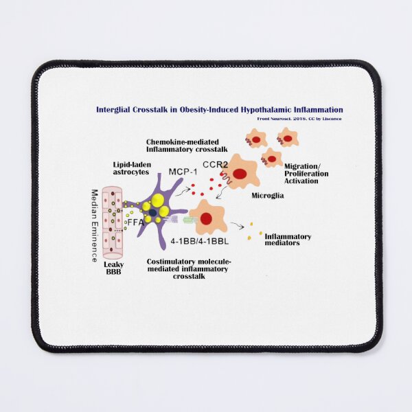 Item preview, When the Brain Meets Obesity — A Silent Inflammation designed and sold by RYUcreationsLab.