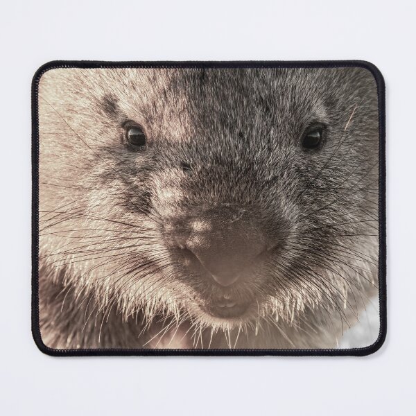 Item preview, Wombie Love designed and sold by bella photoaus.