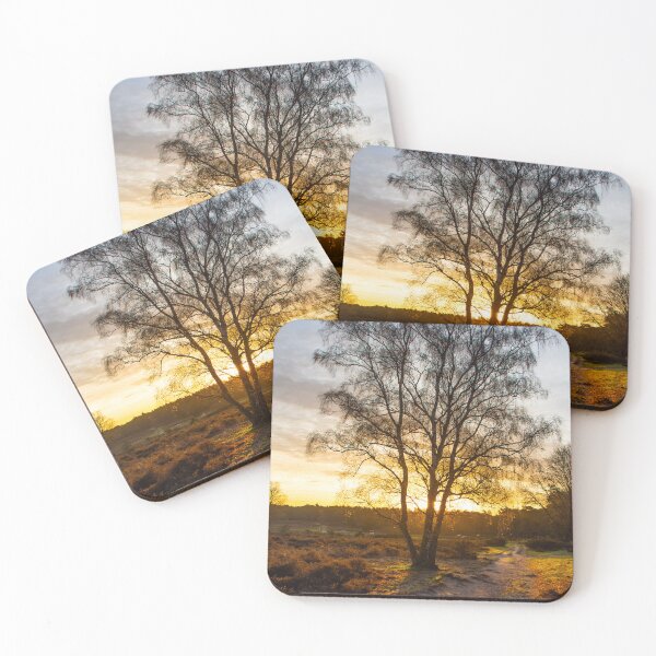 Item preview, Going out in morning sunshine designed and sold by jchanders.