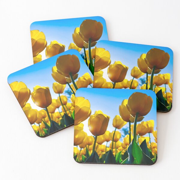 Item preview, Spring time Tulips at Bendigo Bloom 2025 - Bendigo, Victoria, Australia designed and sold by Steven Jodoin.
