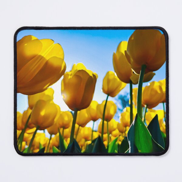 Item preview, Spring time Tulips at Bendigo Bloom 2025 - Bendigo, Victoria, Australia designed and sold by Steven Jodoin.