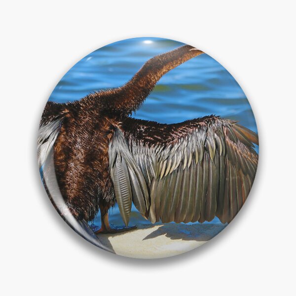 Item preview, Australasian Darter - Perth Western Australia 2025 - 2 designed and sold by Colin  Williams Photography.