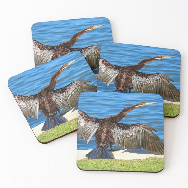 Item preview, Australasian Darter - Perth Western Australia 2025 - 2 designed and sold by Colin  Williams Photography.