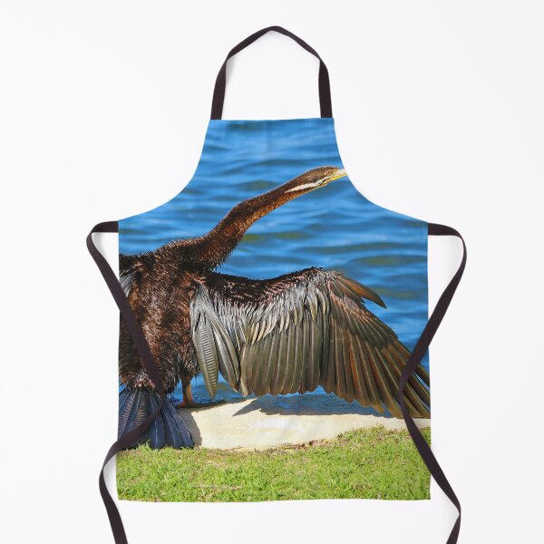 Item preview, Australasian Darter - Perth Western Australia 2025 - 2 designed and sold by Colin  Williams Photography.