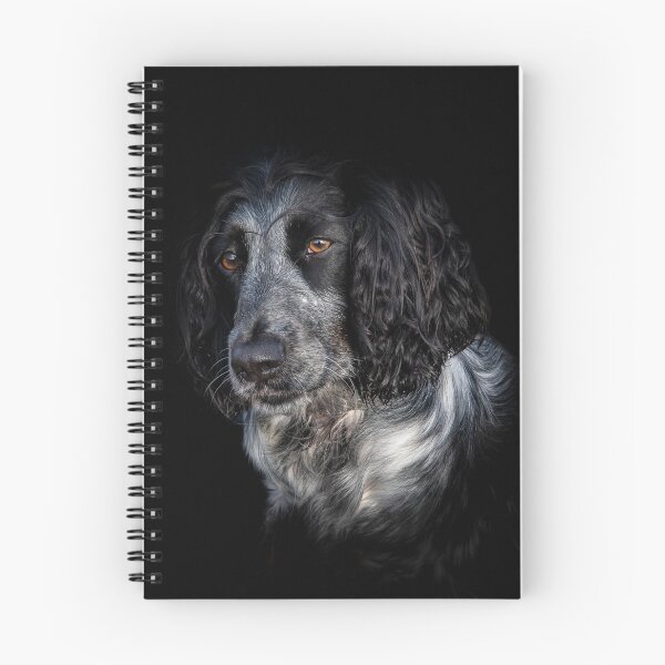 Item preview, Blue Roan Cocker Spaniel  designed and sold by CEastwoodPhotos.
