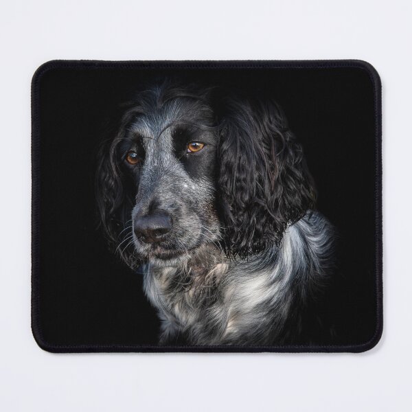 Item preview, Blue Roan Cocker Spaniel designed and sold by CEastwoodPhotos.