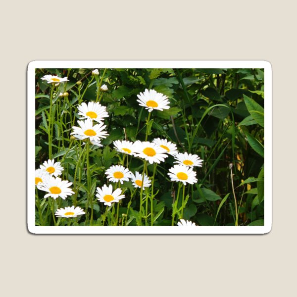 Item preview, Simply Summer designed and sold by Claude Johnson.