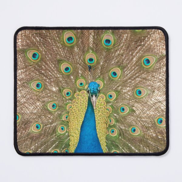 Item preview, Displaying Peacock or peafowl designed and sold by Jon Lees.