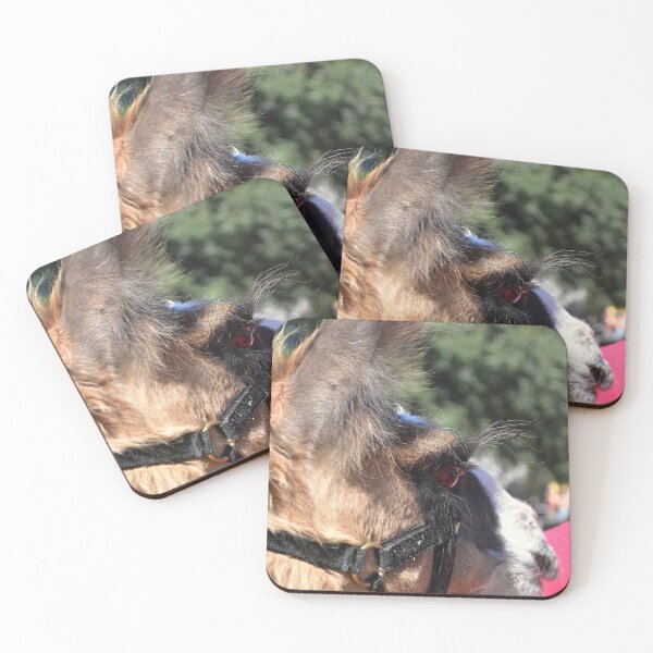 Item preview, Llama with Fluffy Ears designed and sold by MercerImages.