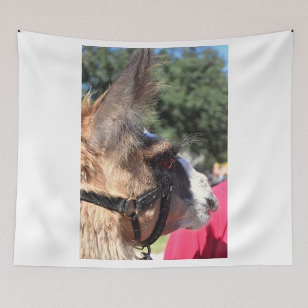 Item preview, Llama with Fluffy Ears designed and sold by MercerImages.