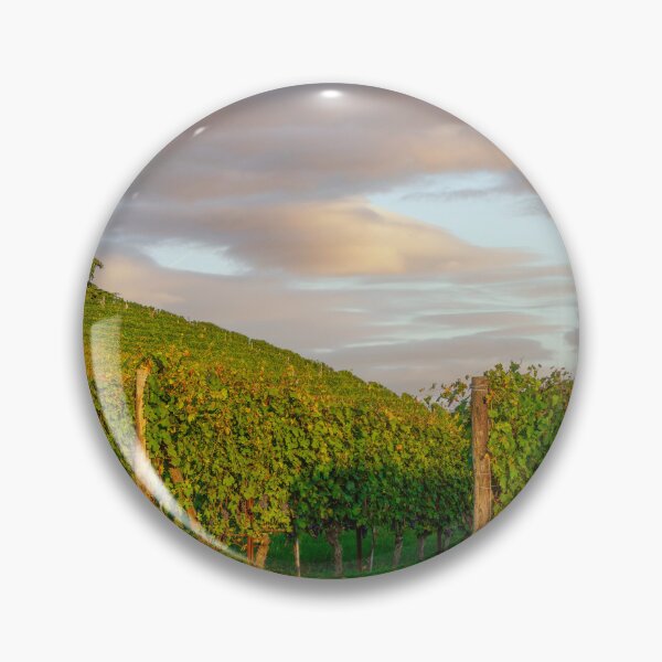 Item preview, Langhe vineyards and cedar of Lebanon tree, Italy designed and sold by Stefano Orazzini.