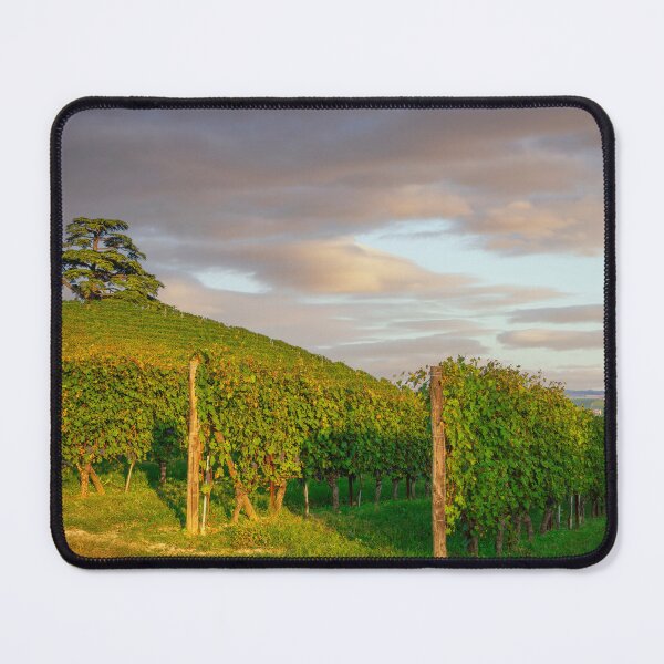 Item preview, Langhe vineyards and cedar of Lebanon tree, Italy designed and sold by Stefano Orazzini.