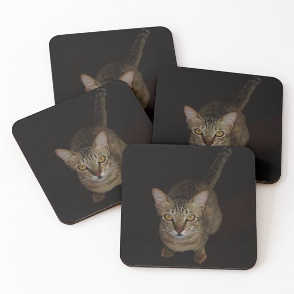 Item preview, Portrait of Intelligence. designed and sold by Stills by Greet Meulepas.