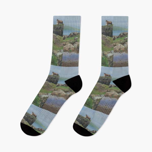 Item preview, A Bird in the Grass on the Faroe Islands designed and sold by ISEriksonartist.
