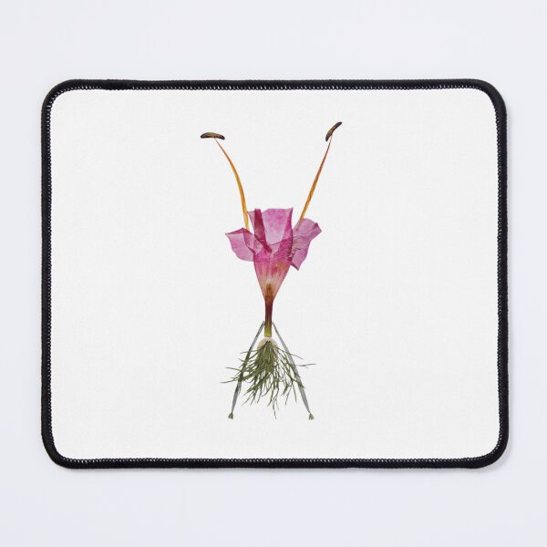 Item preview, Floral Figures designed and sold by SnorkleSupply.