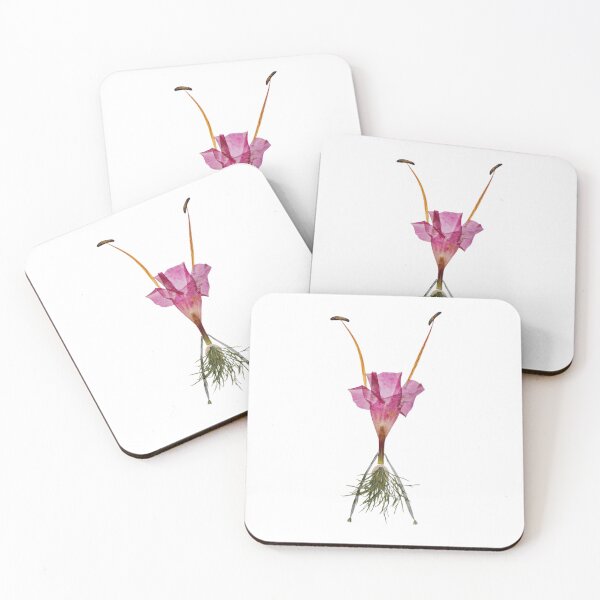 Item preview, Floral Figures designed and sold by SnorkleSupply.
