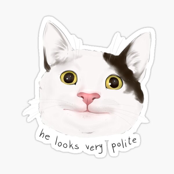 This is ollie the polite cat from those memes. Does not he look