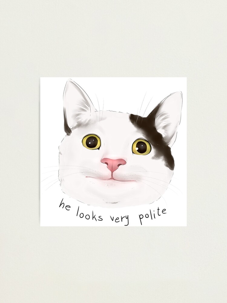 Polite Cat Meme | Mounted Print