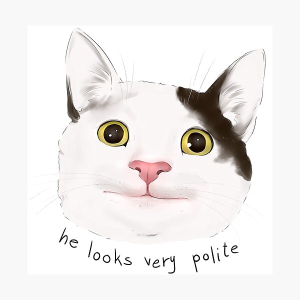 Polite Cat Meme | Photographic Print