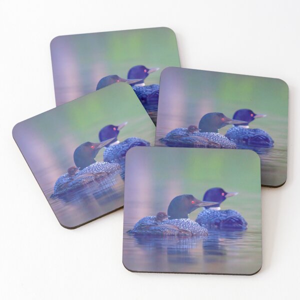 Item preview, Morning outing - Common loons designed and sold by James Cumming.