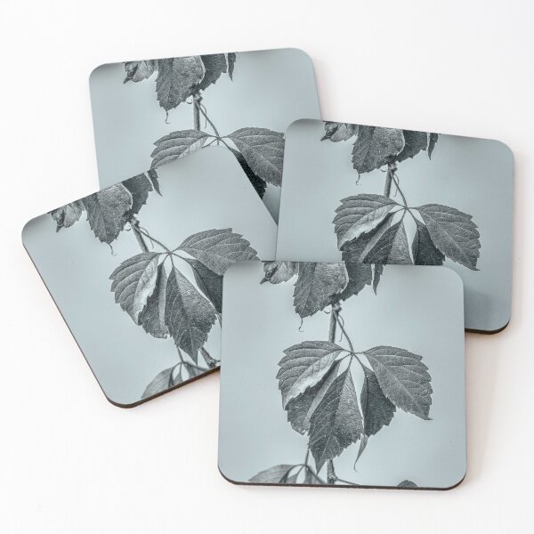 Item preview, Black and White Ivy Leaves Texture designed and sold by Rabee Khalil Photography.