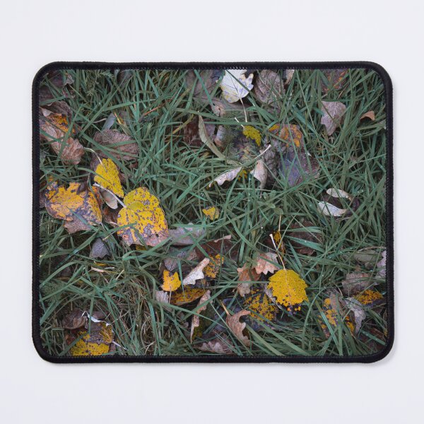Item preview, autumn leaves again. designed and sold by Callie Graphie.