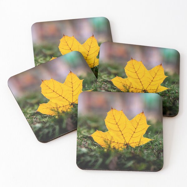 Item preview, Standing Maple Leaf in Autumn Colors designed and sold by Rabee Khalil Photography.