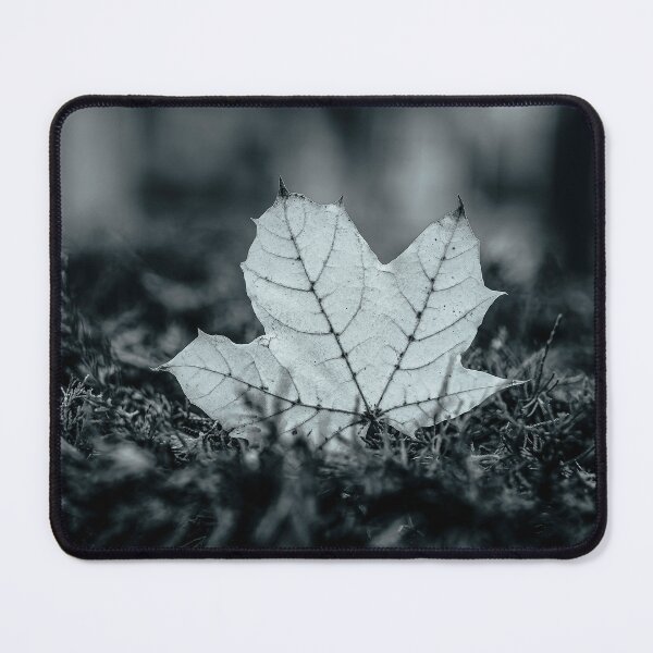 Item preview, Standing Maple Leaf in Black and White designed and sold by Rabee Khalil Photography.