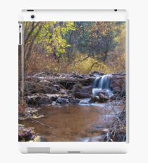 Cheyenne Creek Cascades iPad Case/Skin