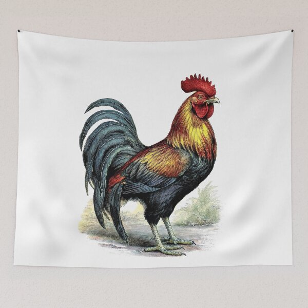 Item preview, Feathered King - Rooster Designs designed and sold by RockitBaby.