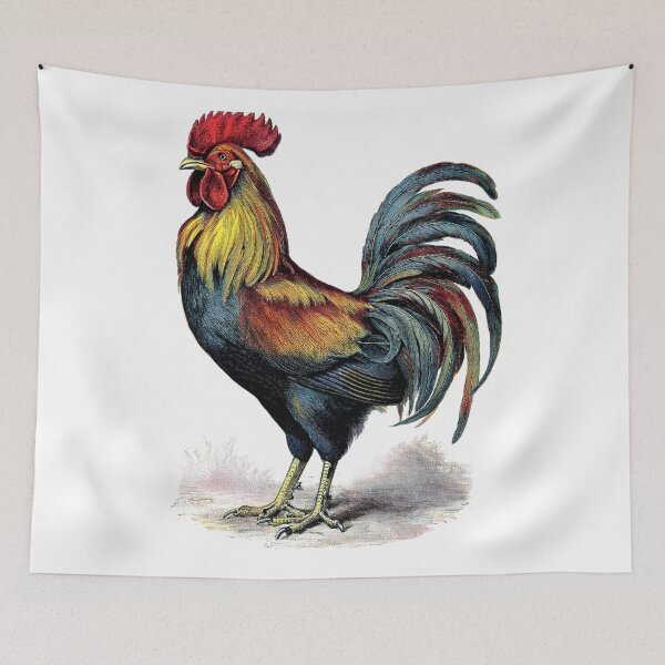 Item preview, Morning Majesty - Rooster Designs designed and sold by RockitBaby.