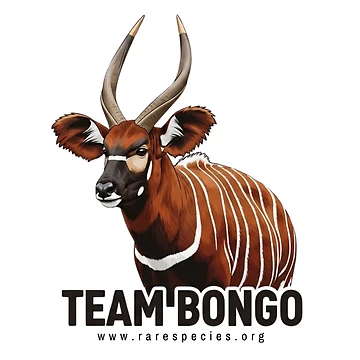 Artwork thumbnail, Team Bongo by RSCF by RSCF