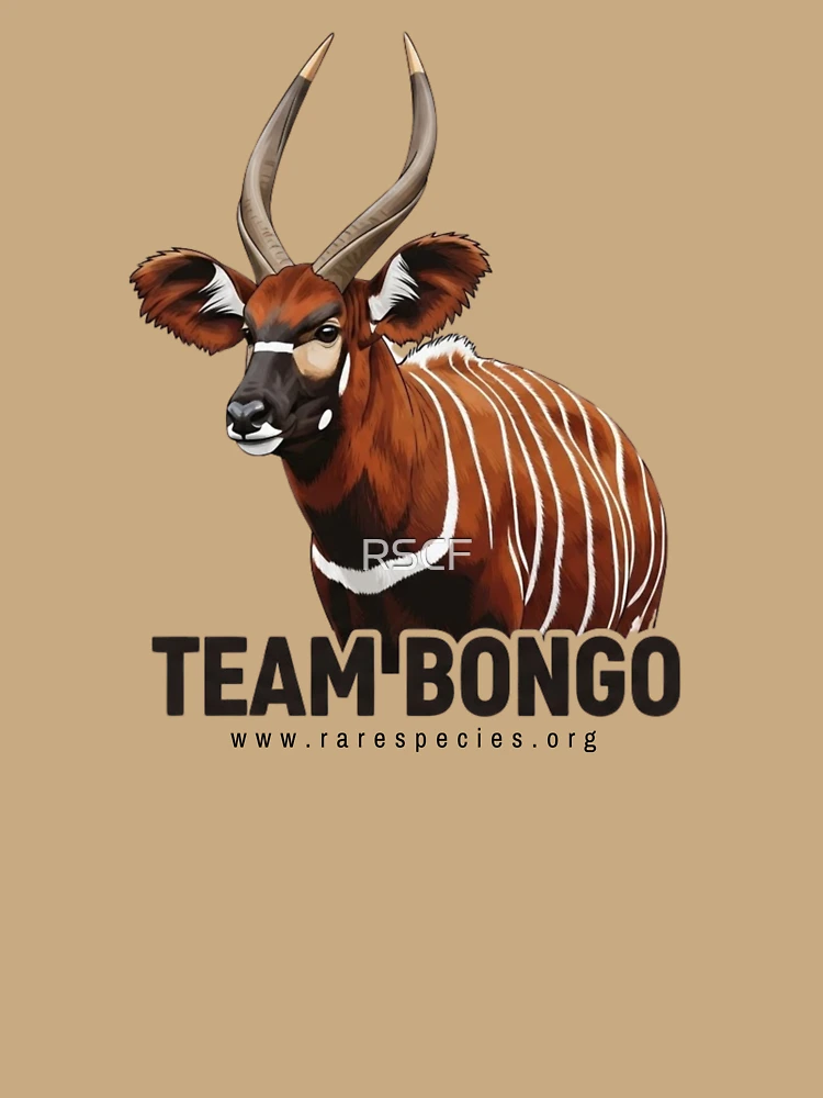 Thumbnail 6 of 6, Premium Oversized Hoodie, Team Bongo by RSCF designed and sold by RSCF.