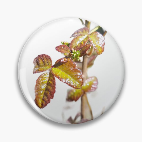 Item preview, Poison Oak Guardian — Shining Red Forest Sentinel designed and sold by tracerammo1.