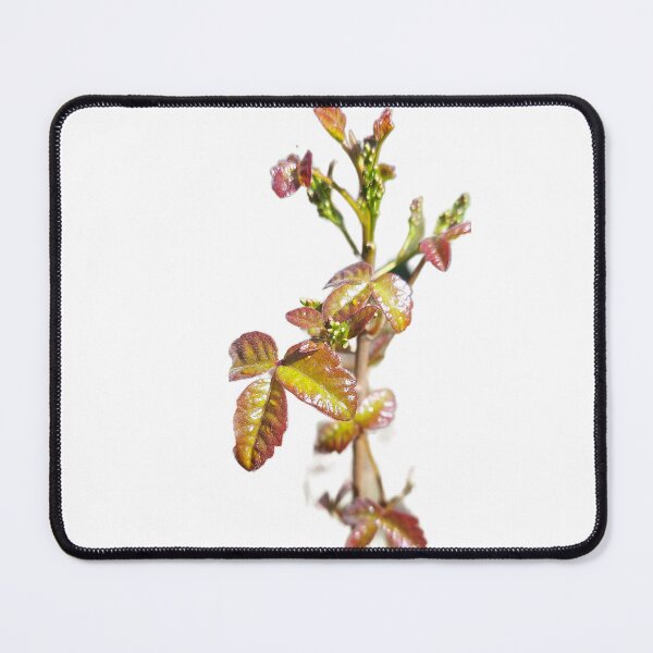 Item preview, Poison Oak Guardian — Shining Red Forest Sentinel designed and sold by tracerammo1.