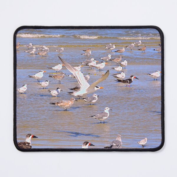 Item preview, Seabirds Flocking on a Hilton Head Beach designed and sold by LisaWootenPhoto.